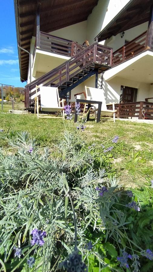 Apartman Draskovic - Goc Zewnętrze zdjęcie
