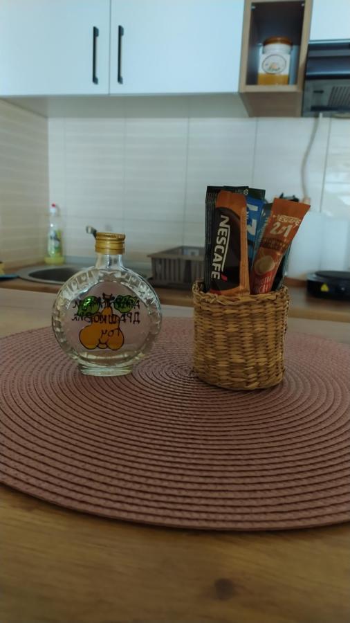 Apartman Draskovic - Goc Zewnętrze zdjęcie